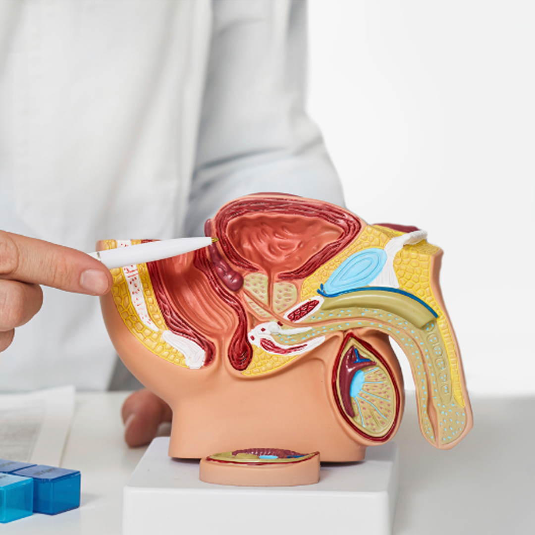 Лечение эректильной дисфункции