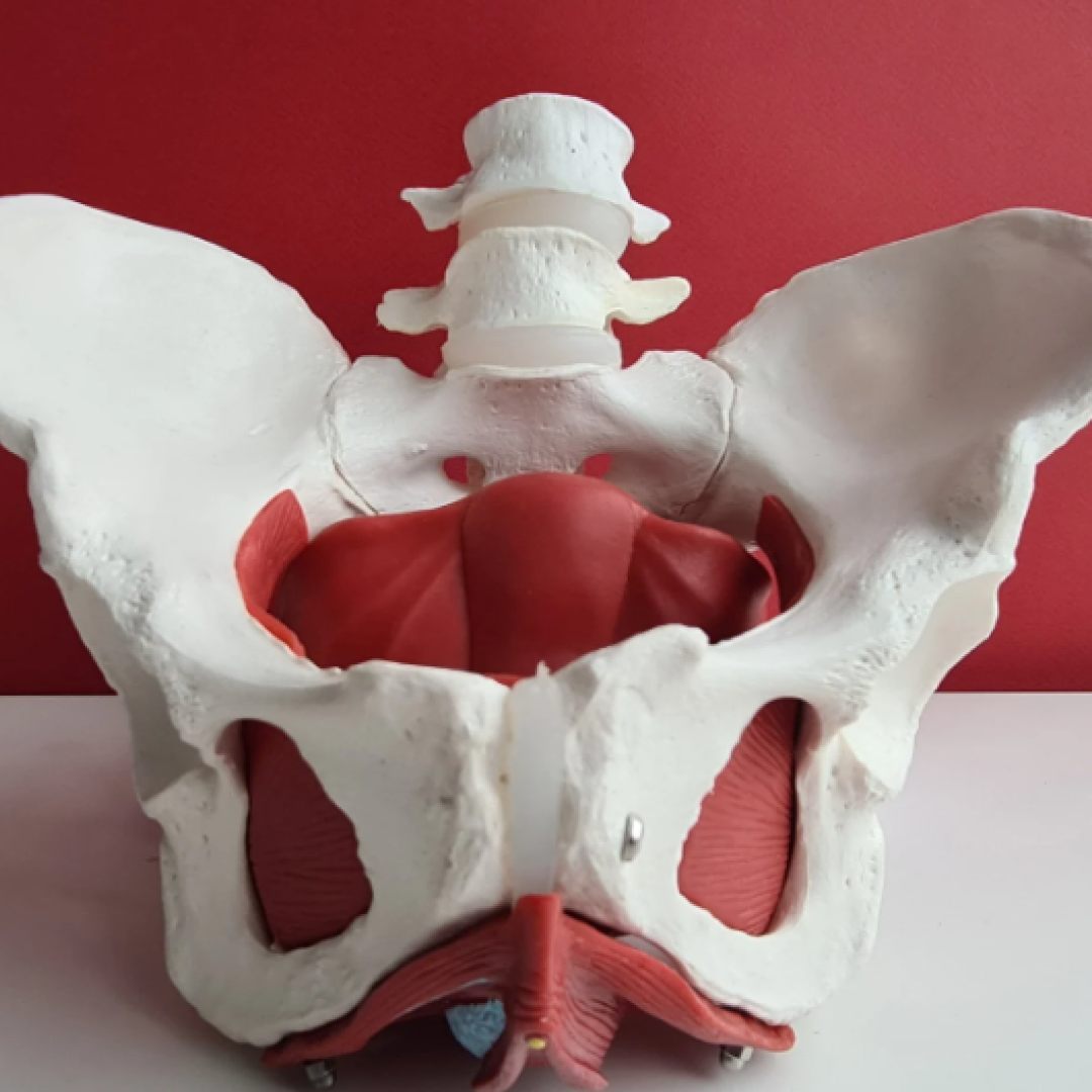 Опущение органов малого таза: как вылечить пролапс?